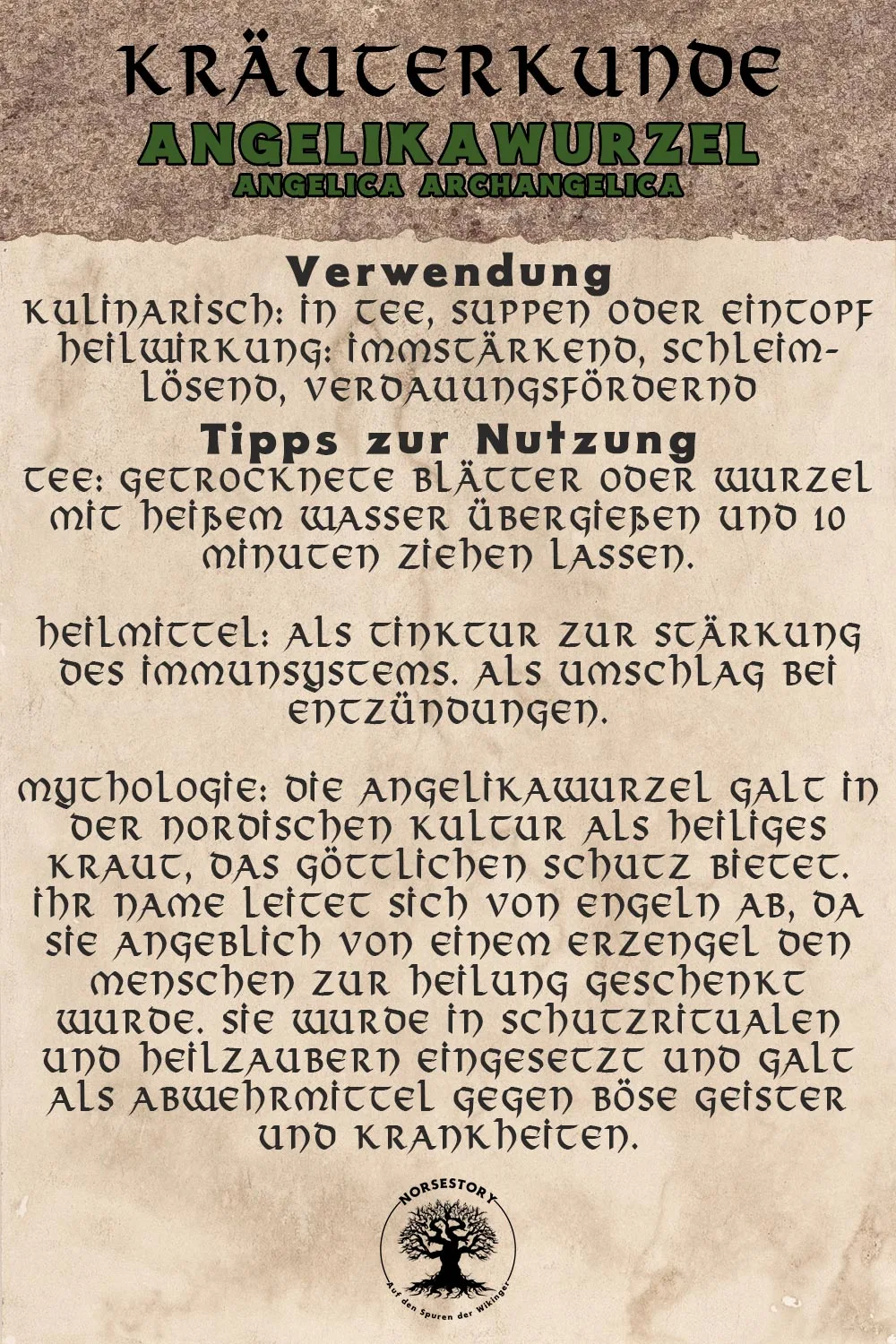 Kundgabe aus der Kräuterkunde