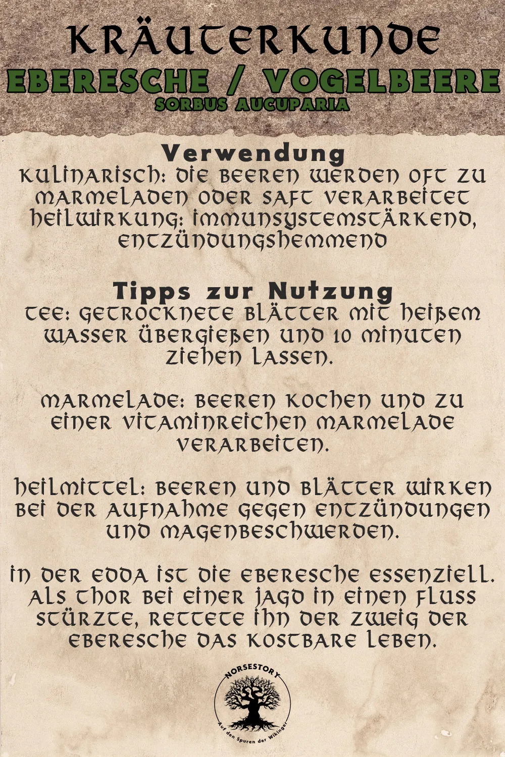 Kundgabe aus der Kräuterkunde